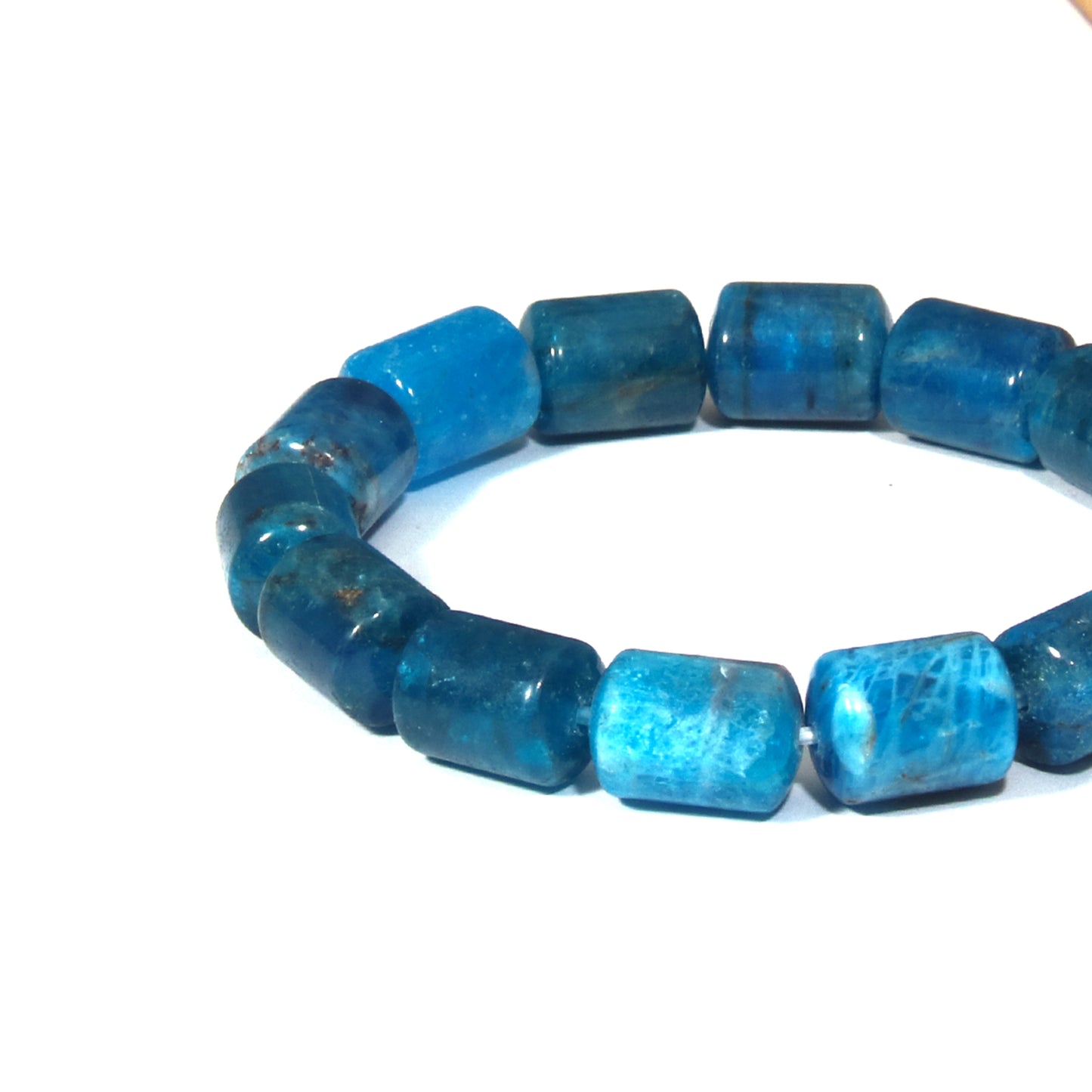 Bamboo-jointed blue phosphorite